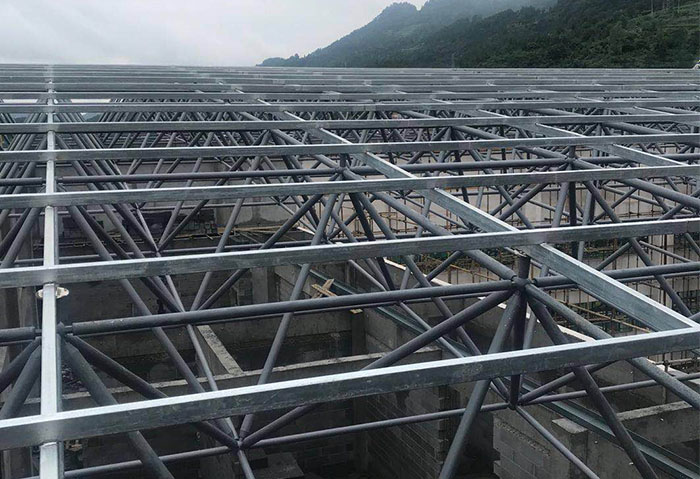 大兴学校艺体楼网架
